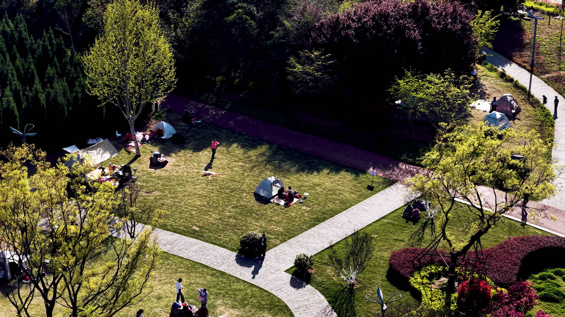 枣庄龟山公园风光正好 市民踏青露营解锁春日美好