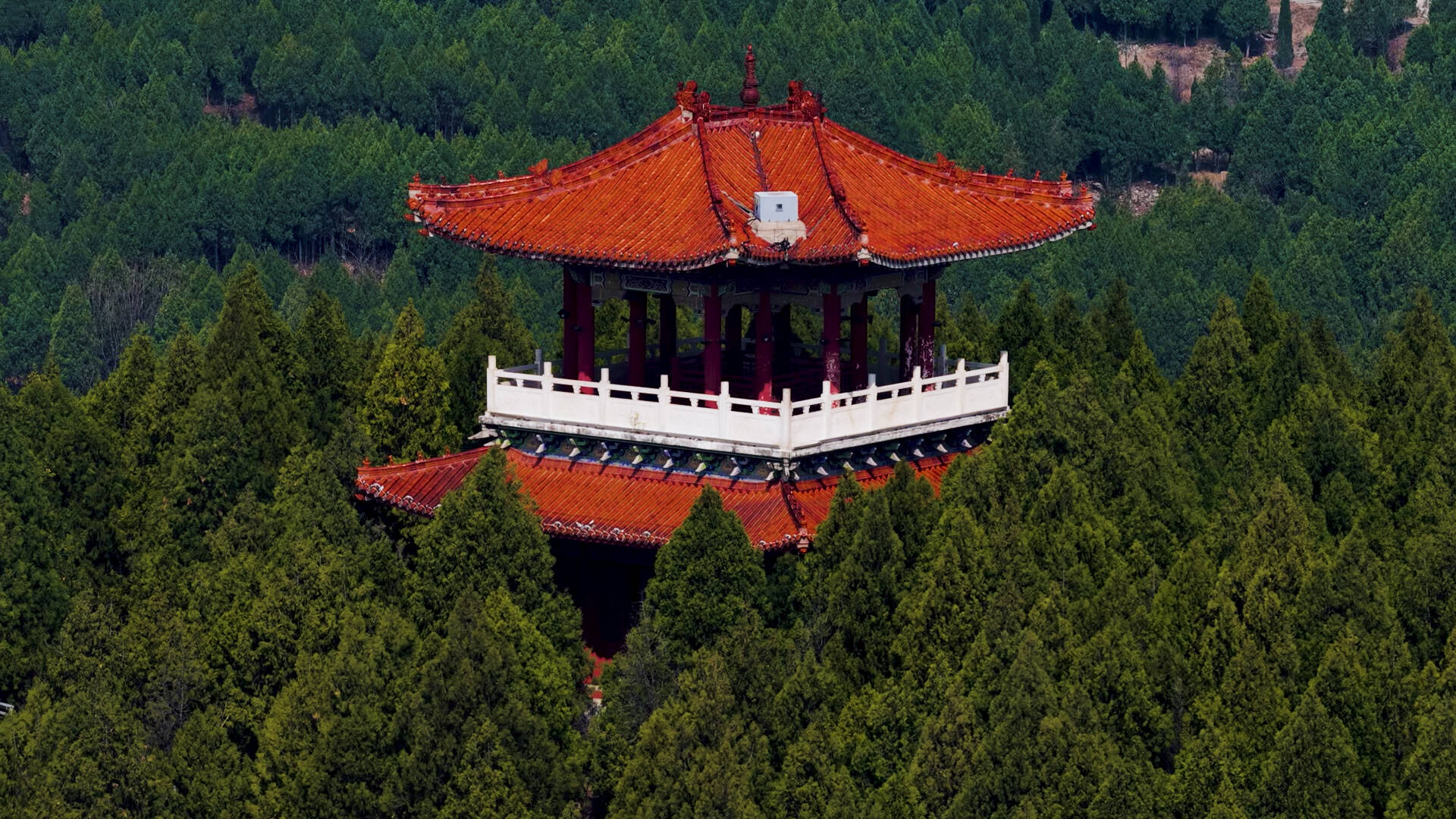 春日枣庄龙吟阁风光正好 登高赏景正当时