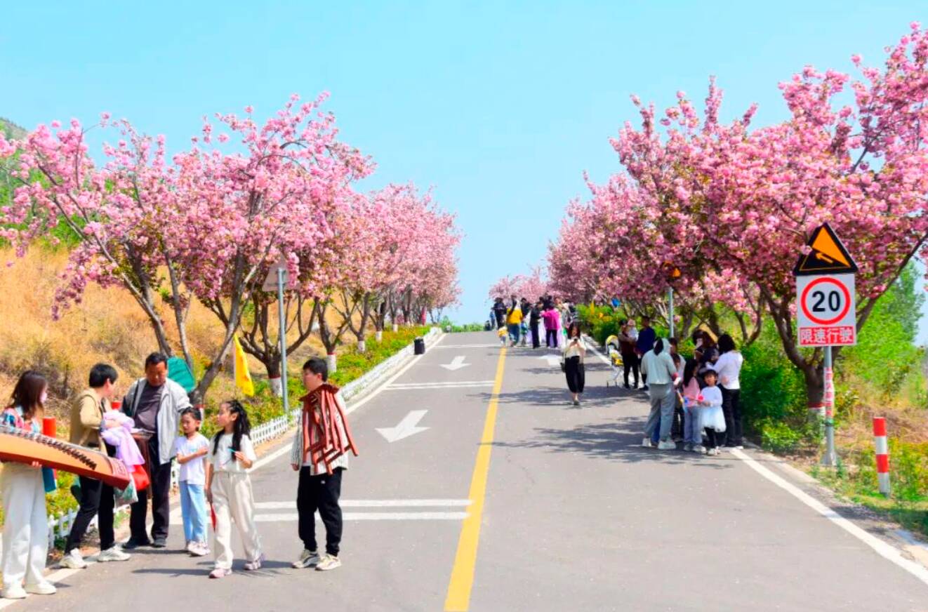 2026年清明假期，济宁文旅市场春意盎然、活力迸发