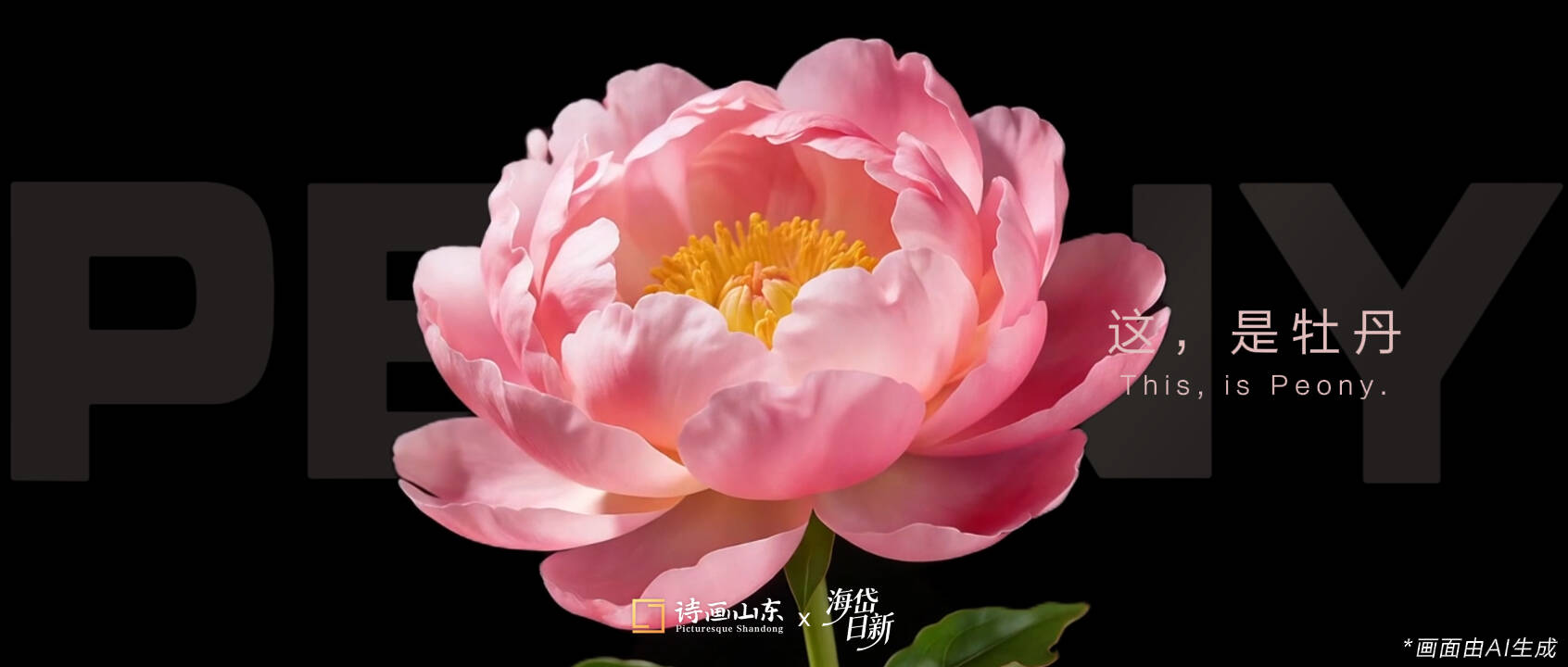 花开齐鲁｜花开即惊艳 一瞥已倾心 “菏泽牡丹”Pro Max焕新登场