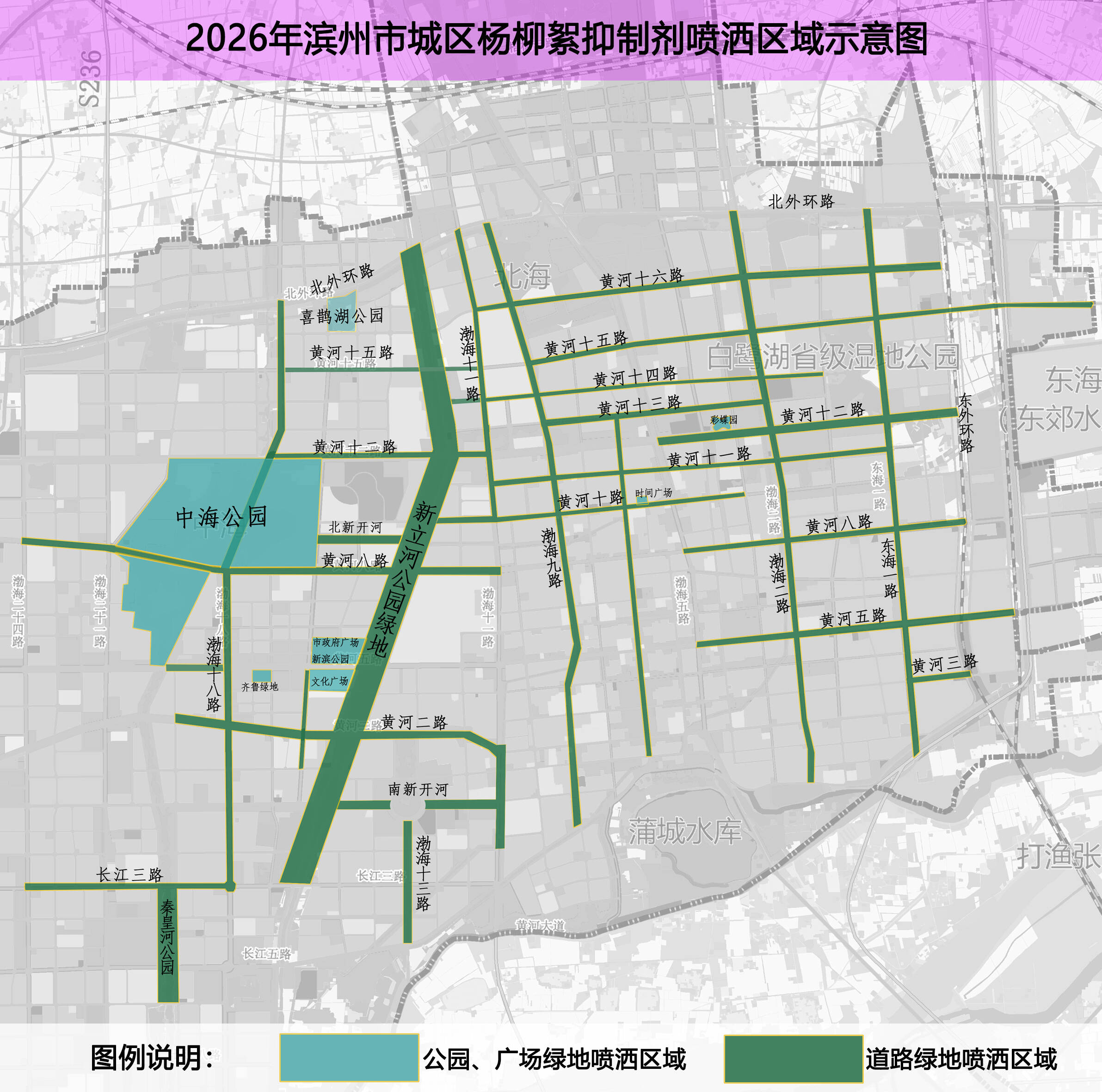 滨州城区4月上旬起喷洒杨柳絮抑制剂 无人机+高压水车“避峰”作业