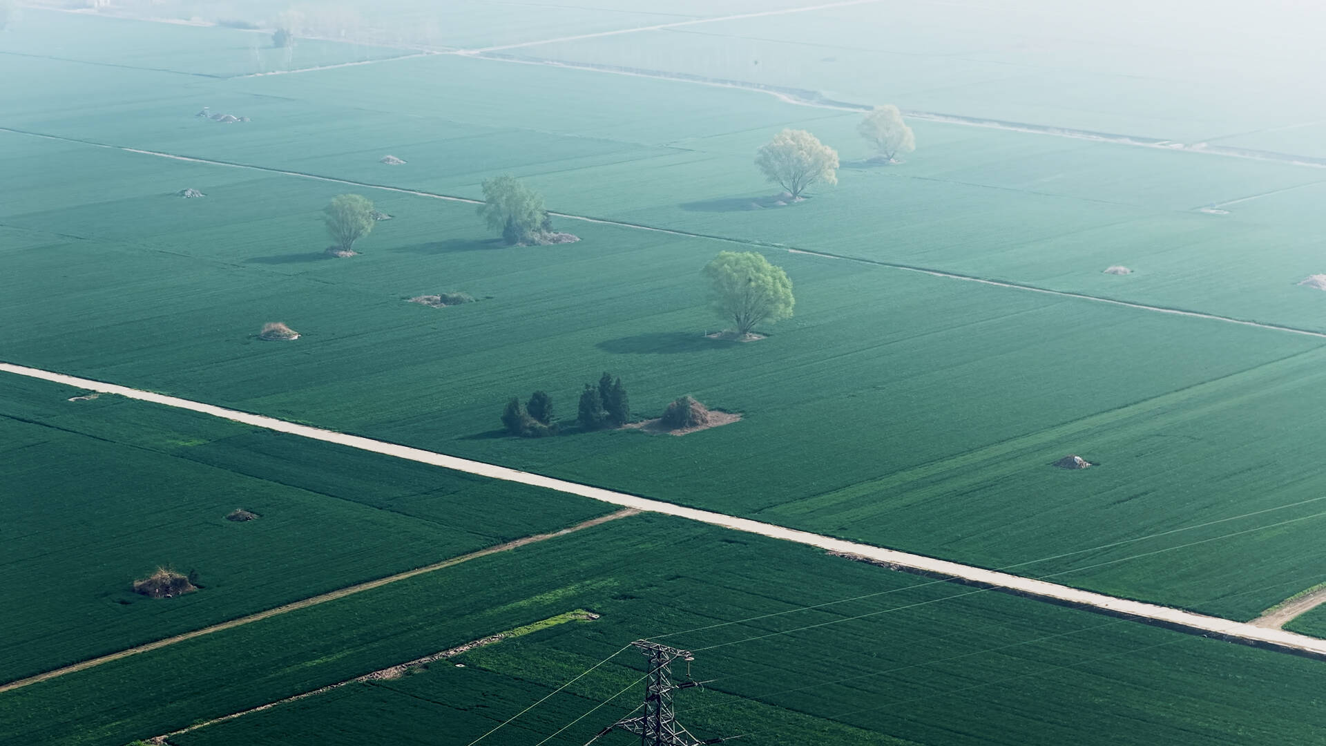 枣庄：春日农田风光正好 阡陌纵横尽显生机