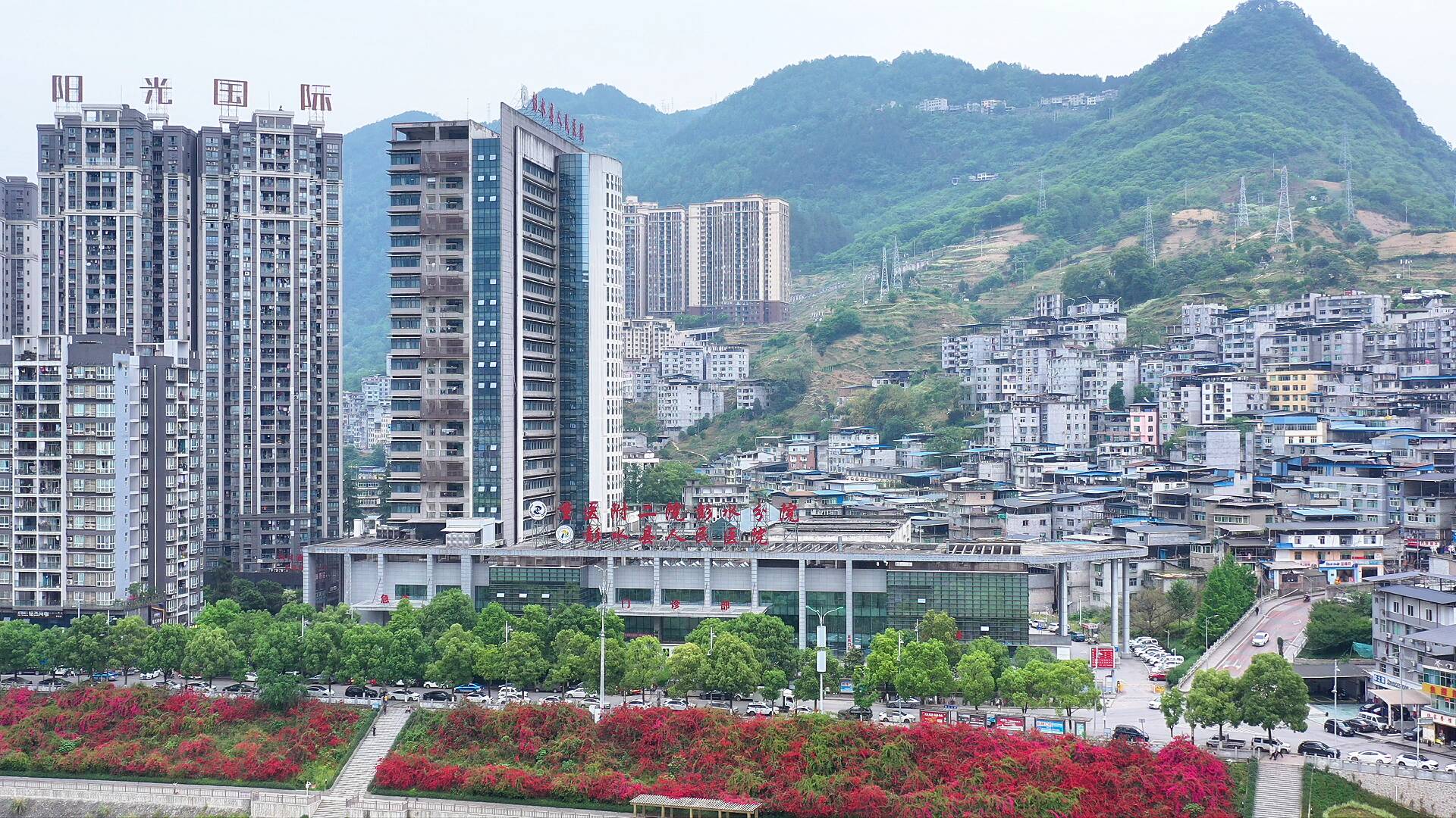聊城“组团式”帮扶见成效，多项技术填补彭水县域医疗空白