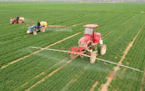 乡村振兴合伙人聚淄共谋发展新路