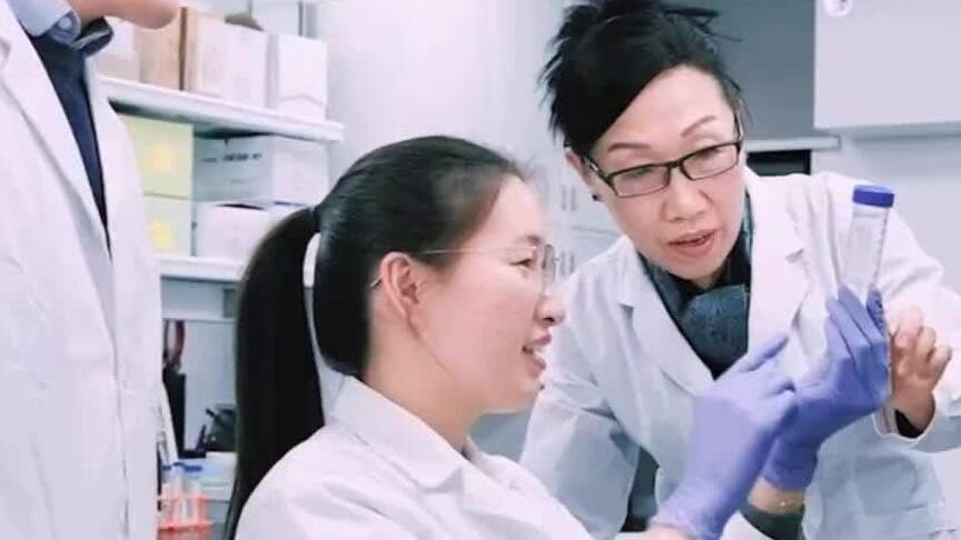 一习话丨“培养更多适应高质量发展、高水平自立自强的各类人才