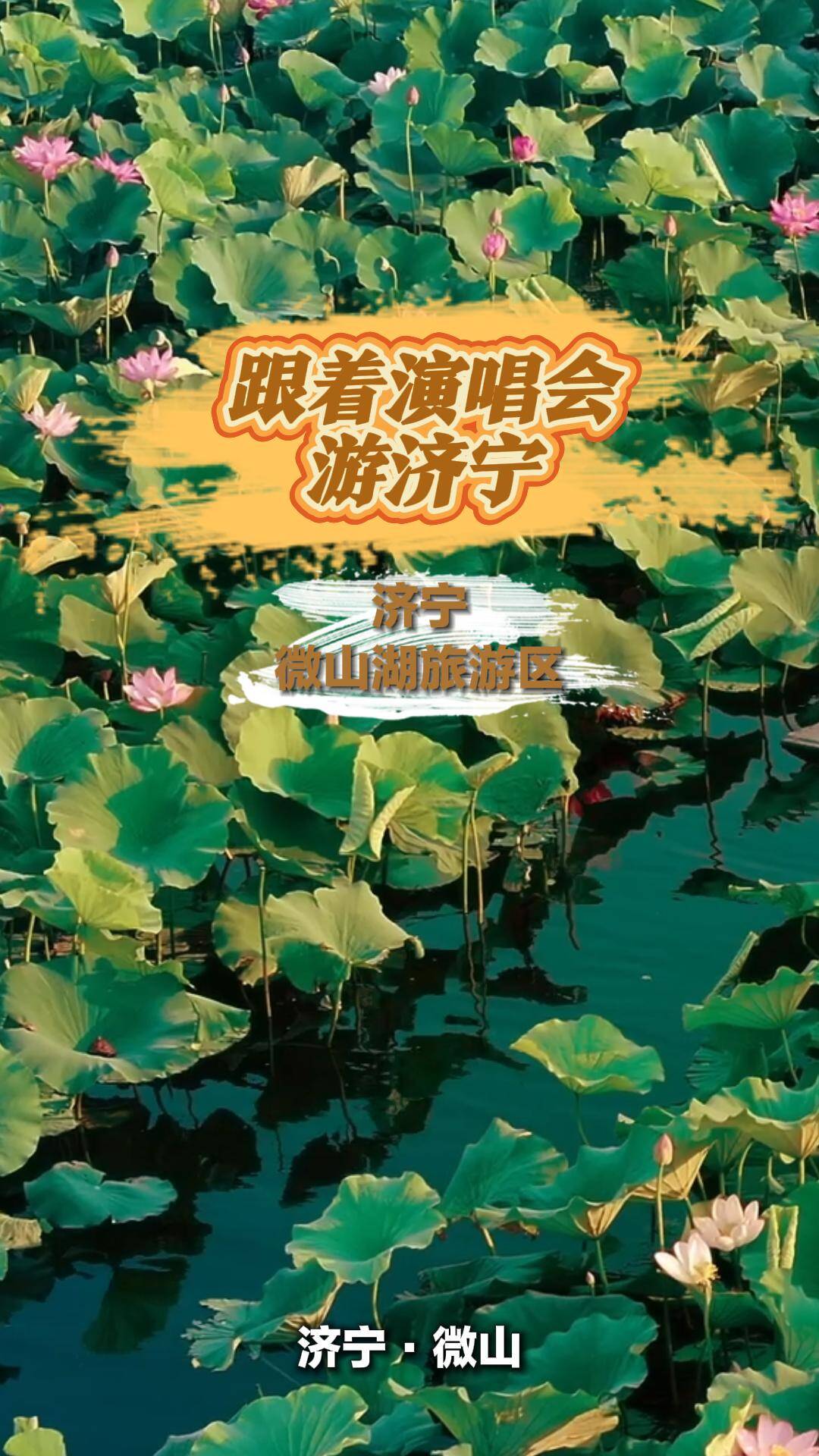 跟着演唱会游济宁｜凭演唱会票根免门票 畅游微山湖旅游区