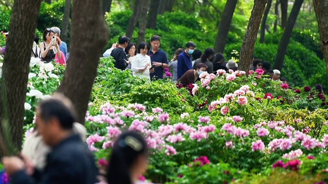 相约文旅盛会 发现宝藏山东｜打造家门口的诗意园林