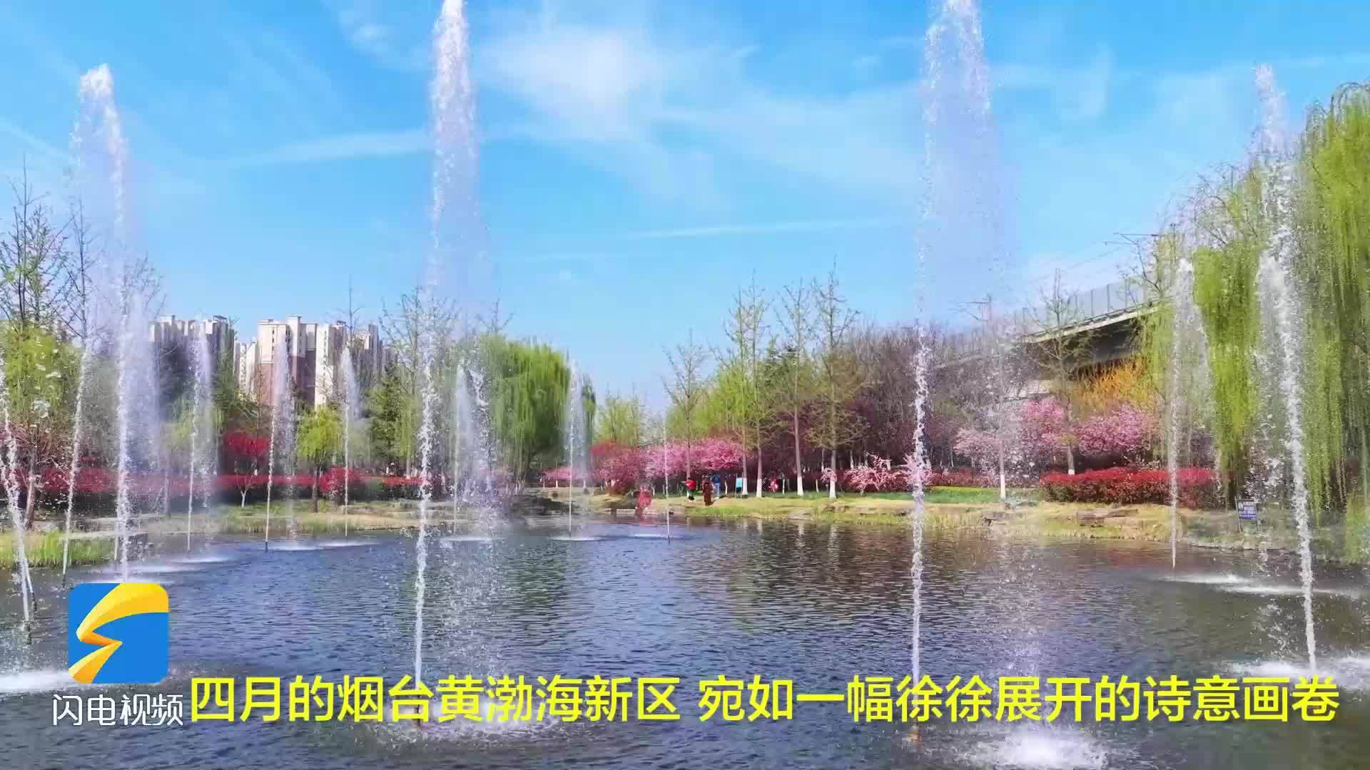 烟台黄渤海新区的春天藏不住了