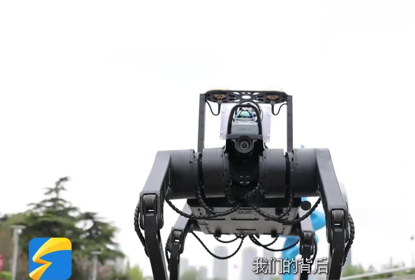 山东机器人上岗多元场景样样行