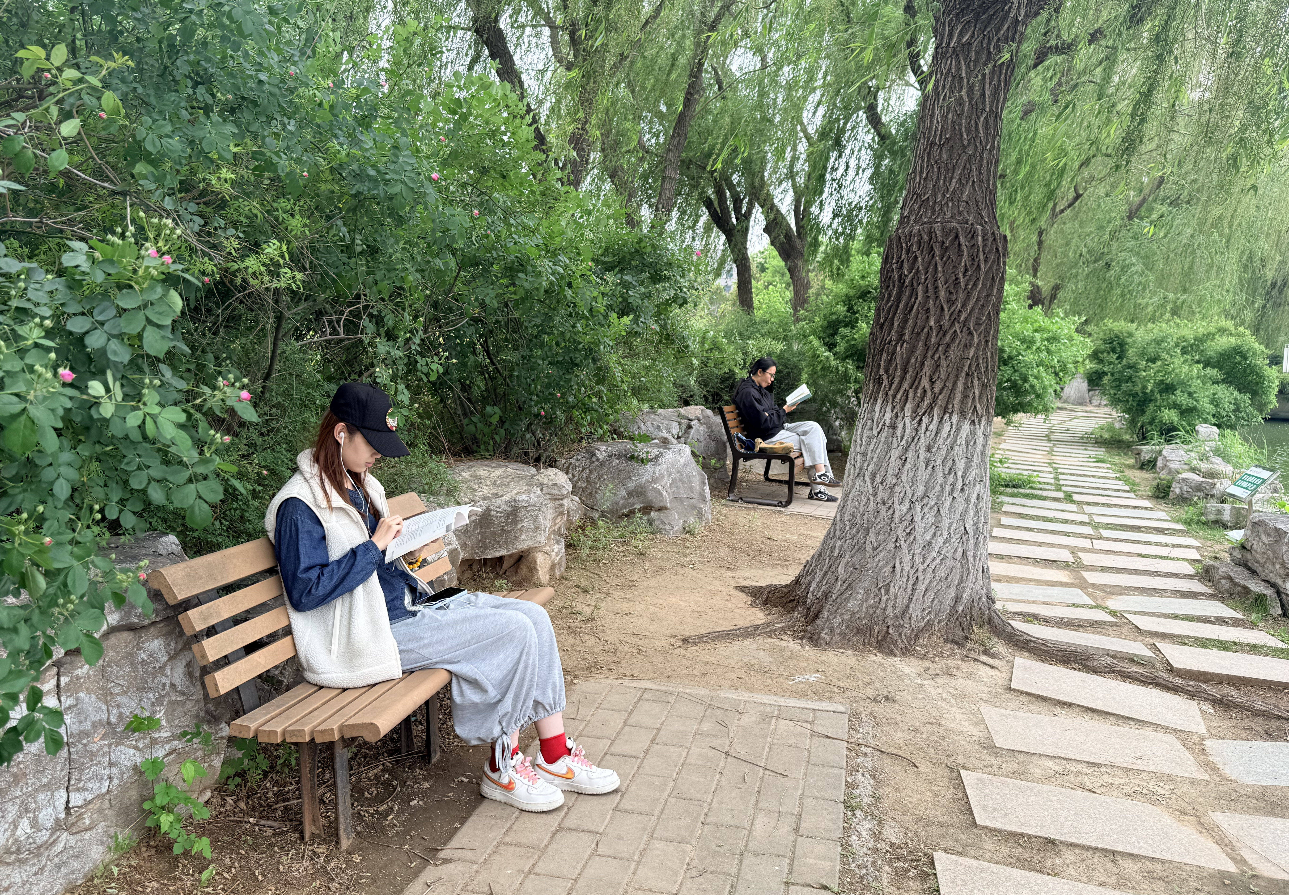 书香润校园 阅读绽芳华