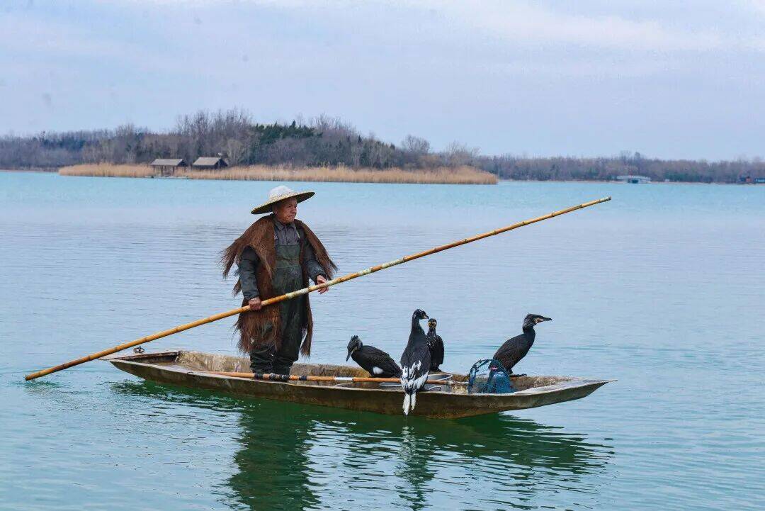 万亩苇荡尽享渔乐潮玩, 马踏湖“渔乐苇荡 嗨玩生活节”五一假期精彩亮相