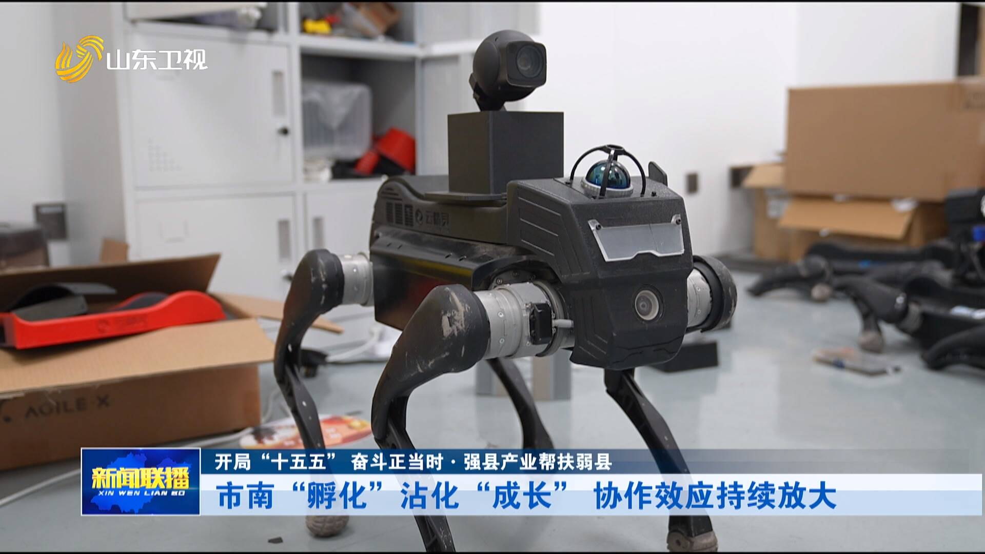 开局“十五五” 奋斗正当时·强县产业帮扶弱县|市南“孵化”沾化“成长” 协作效应持续放大