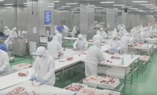开局“十五五”奋斗正当时·强县产业帮扶弱县丨平台赋能 资源共享 城阳高青协同推动特色产业提质升级