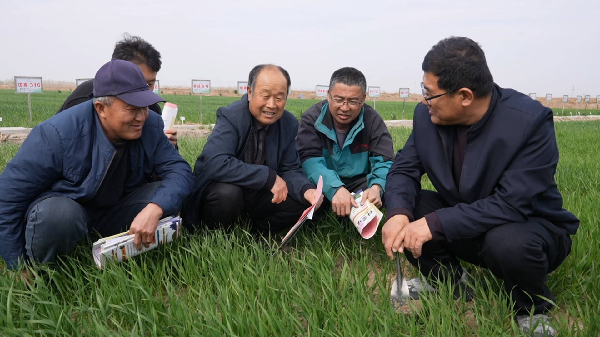 追光的你｜躬身盐碱地 耕耘丰收梦！崔义河37年深耕黄三角育粮兴农记