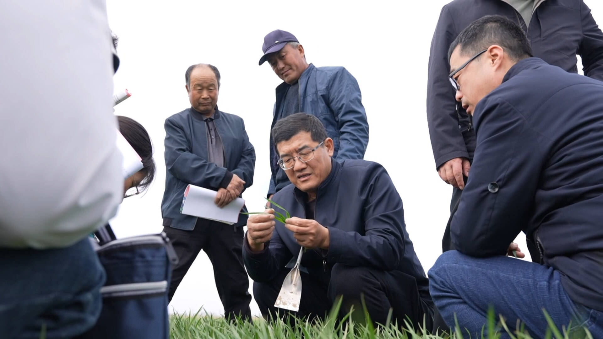 追光的你｜躬身盐碱地 耕耘丰收梦！崔义河37年深耕黄三角育粮兴农记