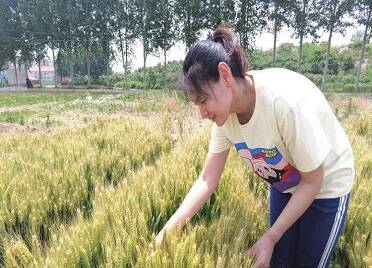 劳动创造幸福 奋斗铸就精彩|孙瑶:巾帼丹心沃乡土