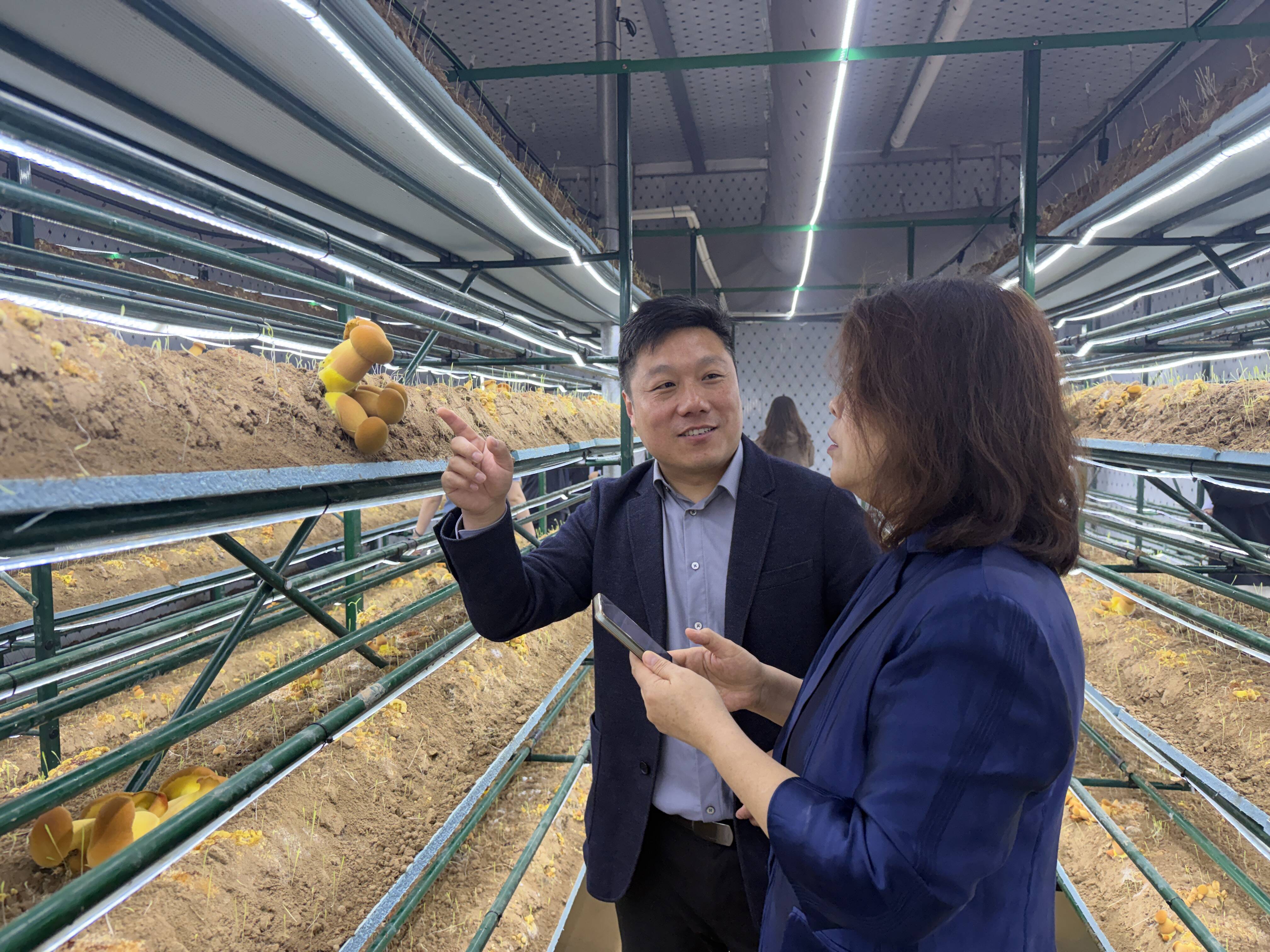 山东省林下经济发展大会在德州举行
