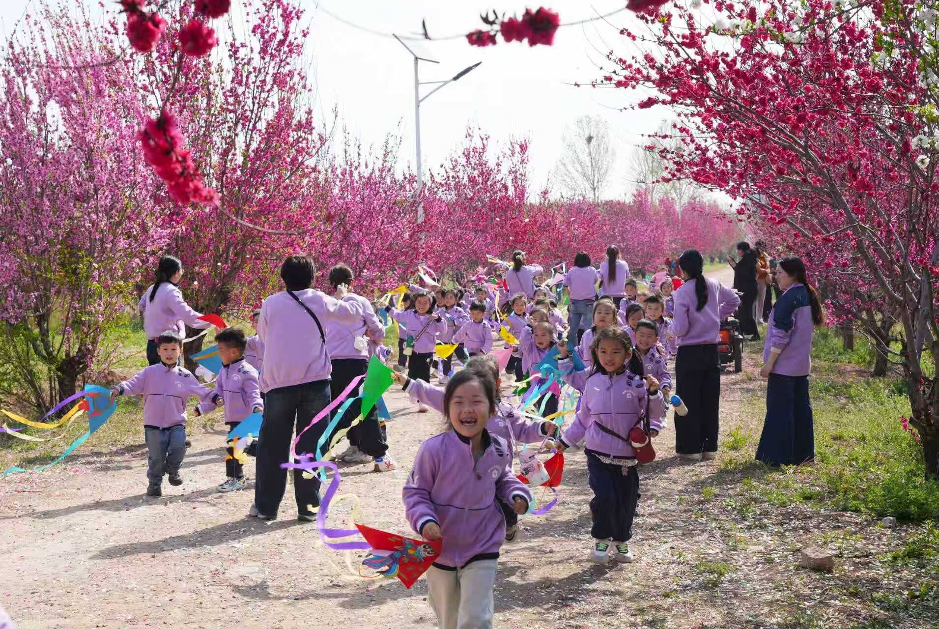 聊城张汉吴苗圃：不止是“城市绿肺” 更是行走的植物课堂