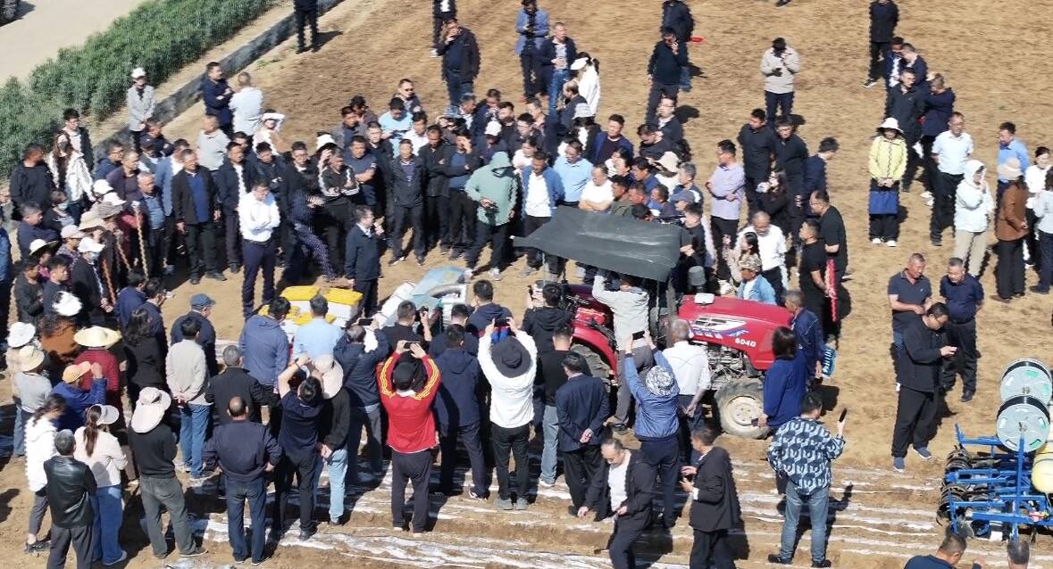 花生“一精三改”大面积单产提升关键技术播种现场观摩培训会在山东莒南召开