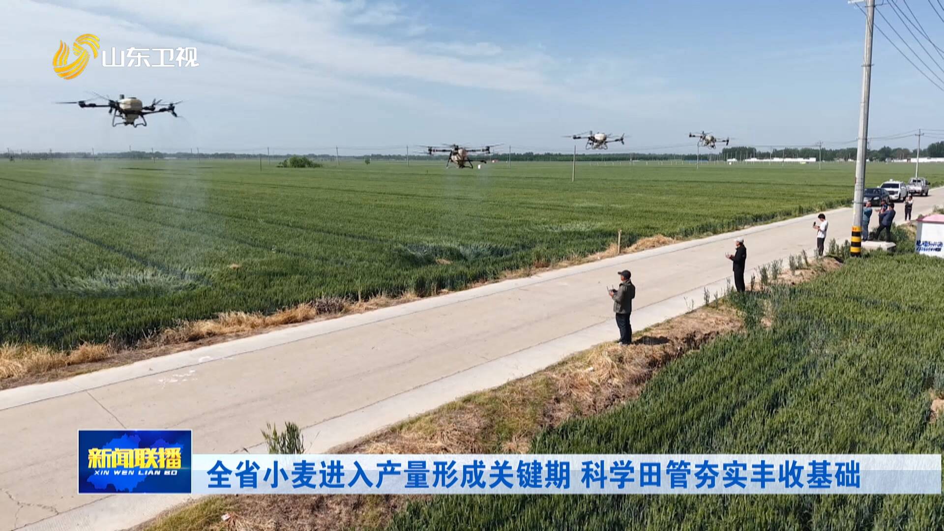 全省小麦进入产量形成关键期 科学田管夯实丰收基础