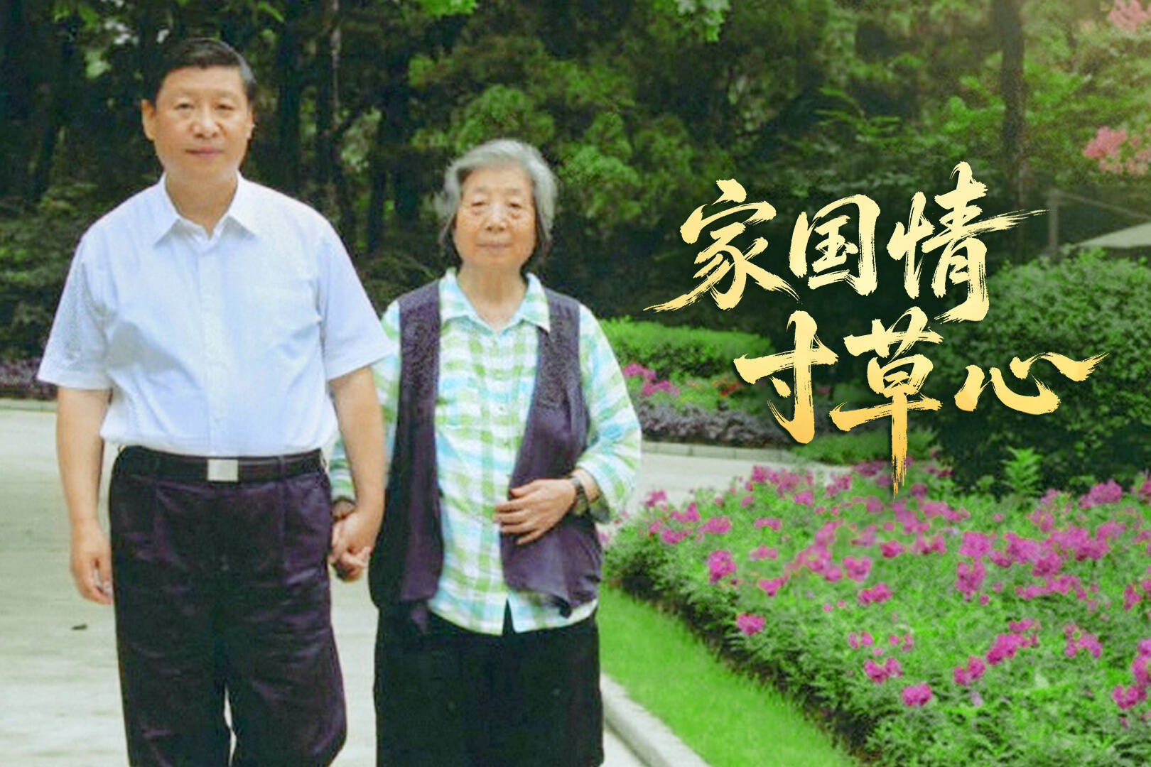 时政微视频丨家国情 寸草心