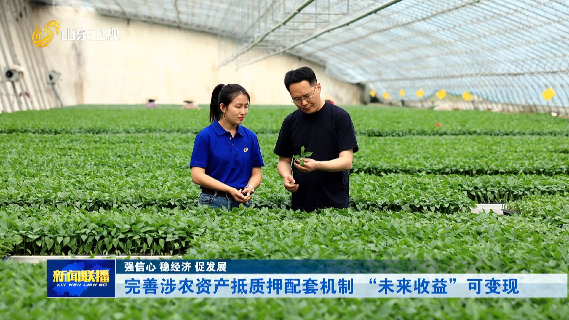 完善涉农资产抵质押配套机制 “未来收益”可变现
