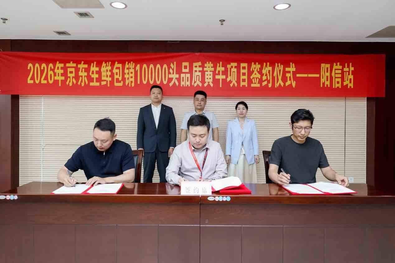 包销10000头品质黄牛！京东生鲜携手山东阳信，助推牛肉产业带高质量发展