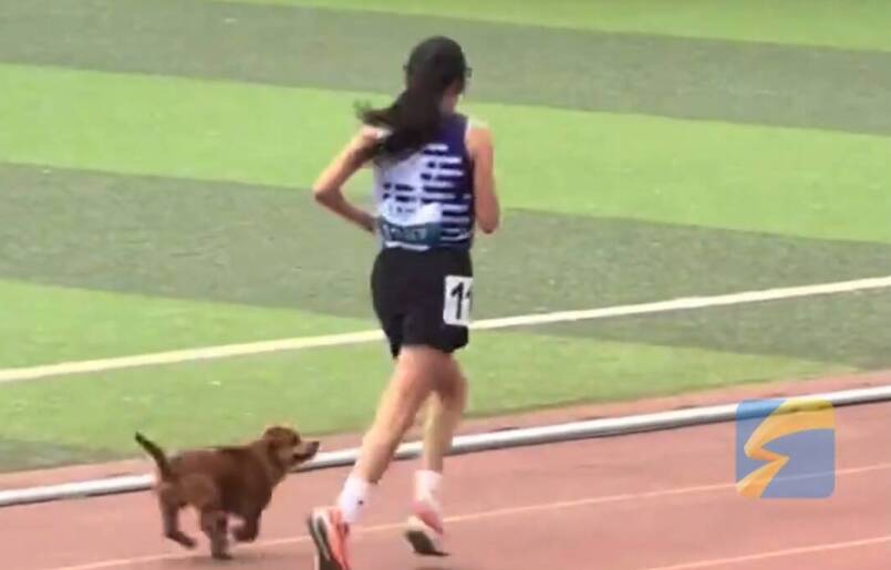 小狗陪跑女生破了学校长跑纪录