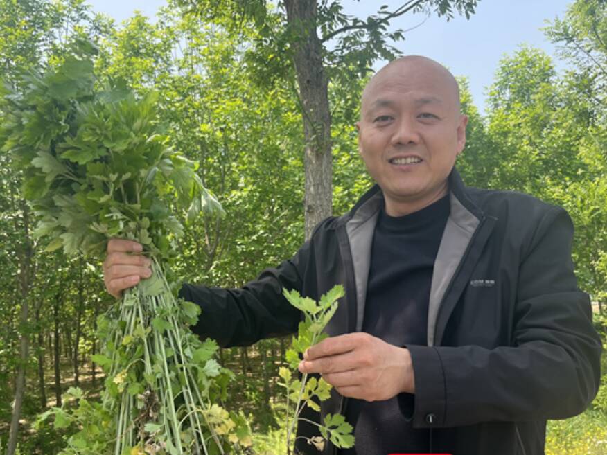 18岁少年火场逆行，提灭火器冲入浓烟中……泰安肥城这一幕刷屏了！