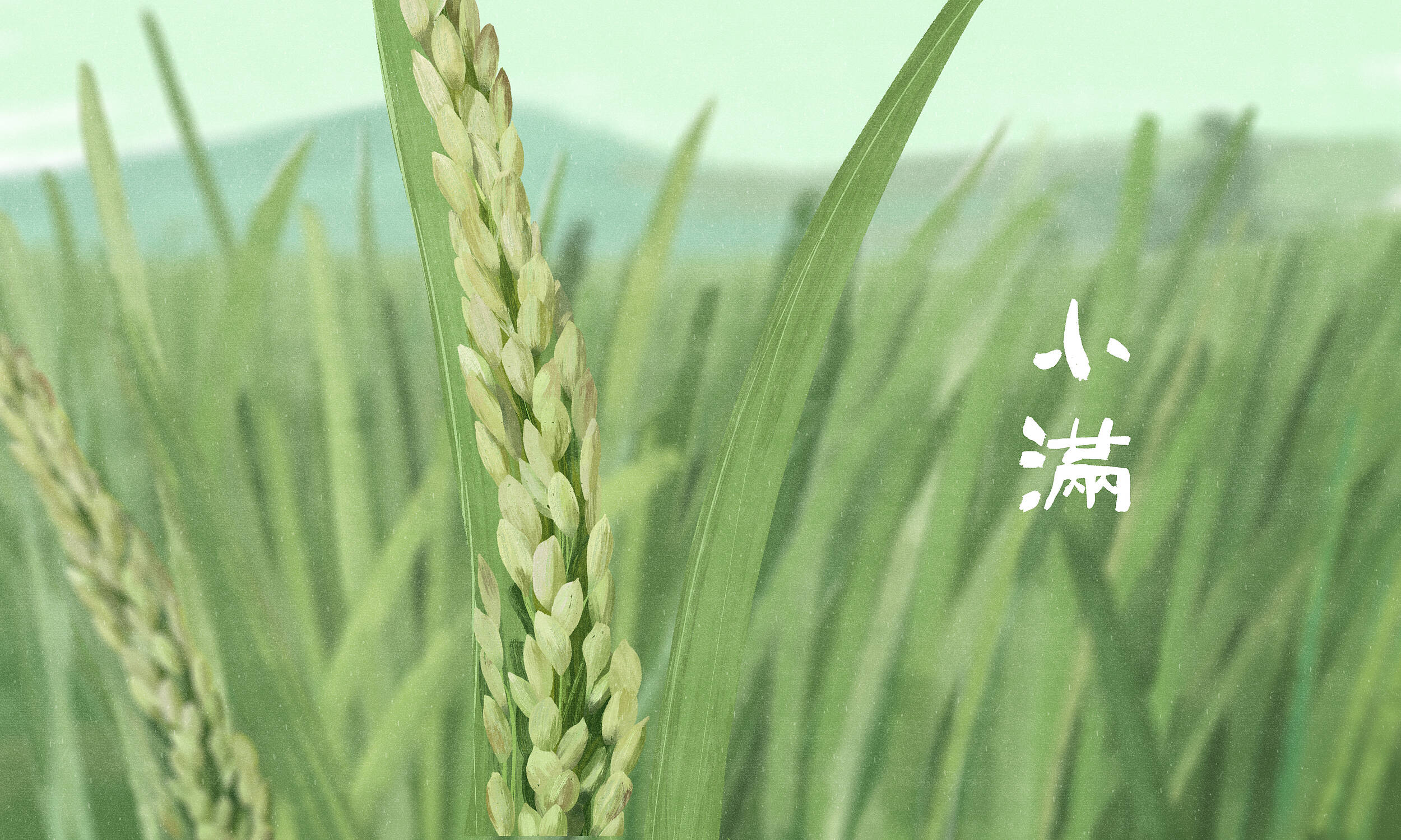 小满时节，养生保健看这里~