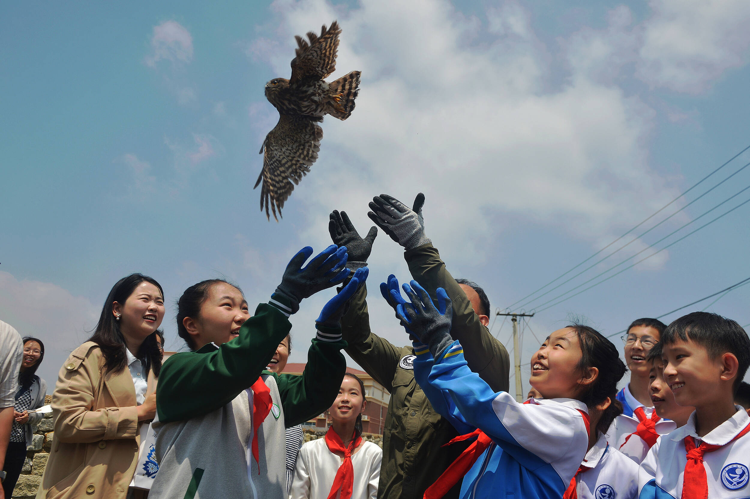 青岛：科普进校园 在孩子心中种下“生物多样性”的种子