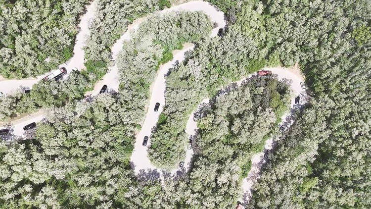 车行槐林 鲁山入画