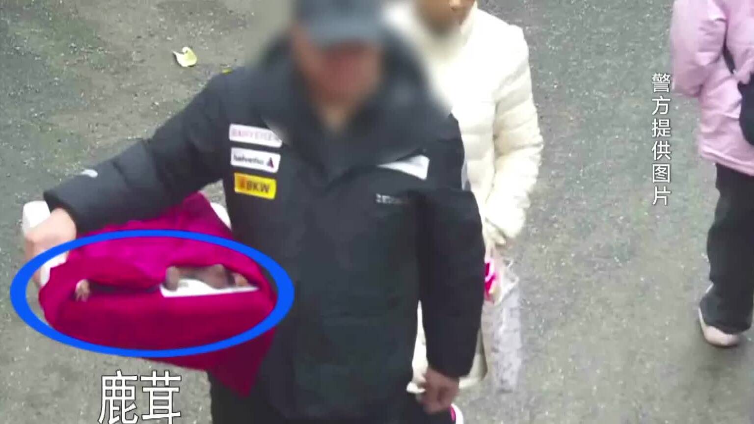 “30元一棵”变“30元一克” !济南一老人购买鹿茸被敲诈13500元