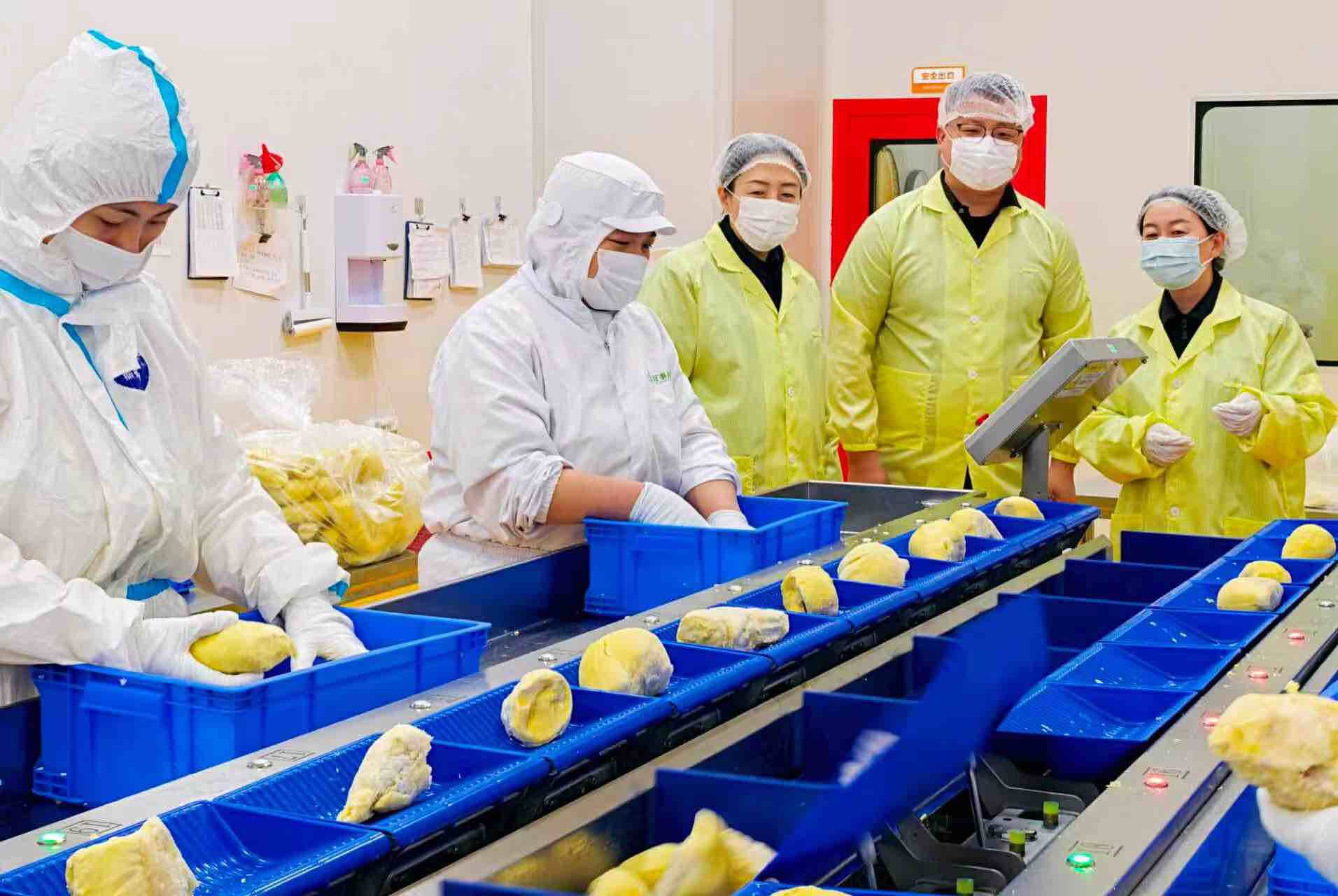 “榴莲超级工厂”让新鲜直达消费者