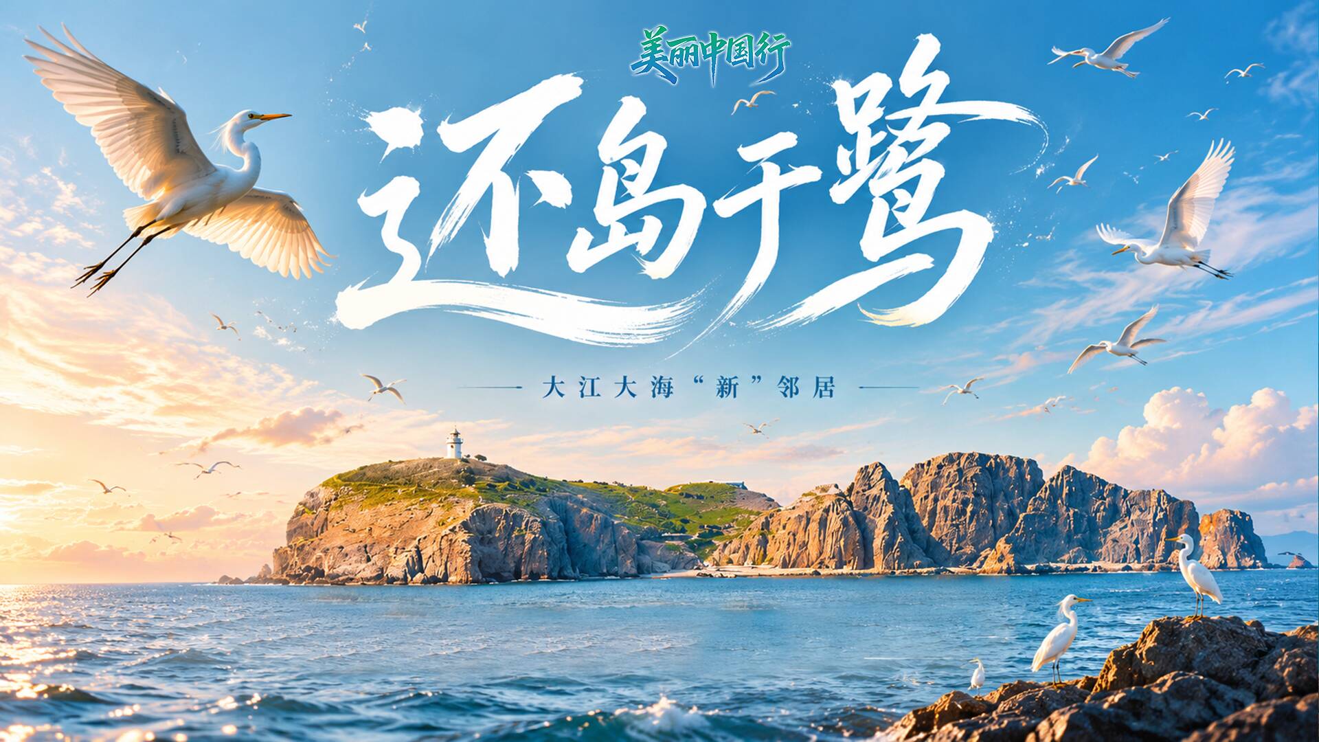 美丽中国行｜大江大海“新”邻居：为鹭让岛！放弃5000多万元投资项目 全球濒危种群数量增加到数千只