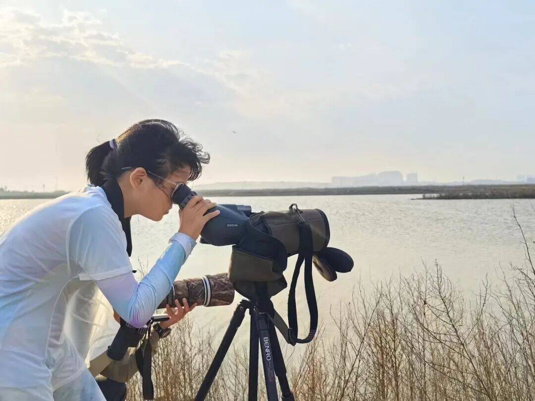 《迁徙的信笺》：一封12岁青岛女孩写给候鸟的诗