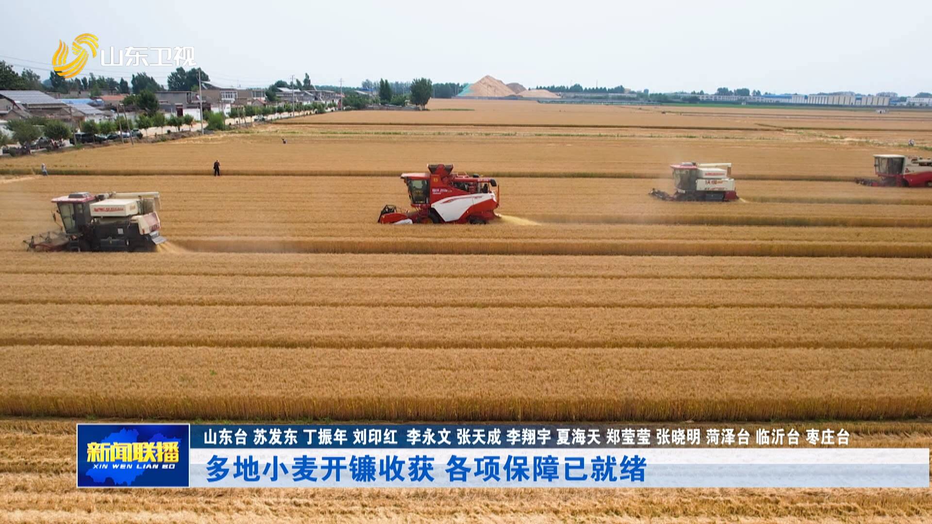 山东多地小麦开镰收获