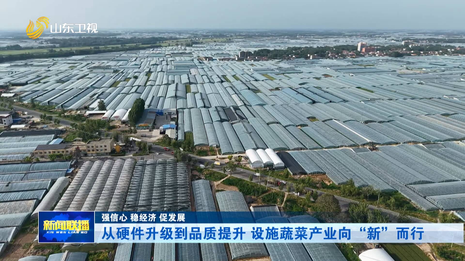 从硬件升级到品质提升 设施蔬菜产业向“新”而行