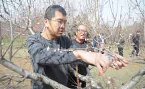 27年，两代人接力 石头缝里种出3000亩林海