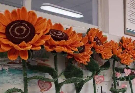 淄博：八千根扭扭棒编出向日葵 为考生送上“花式”祝福