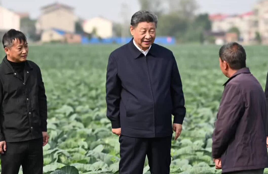 总书记引领强国之路｜加快农业农村现代化步伐