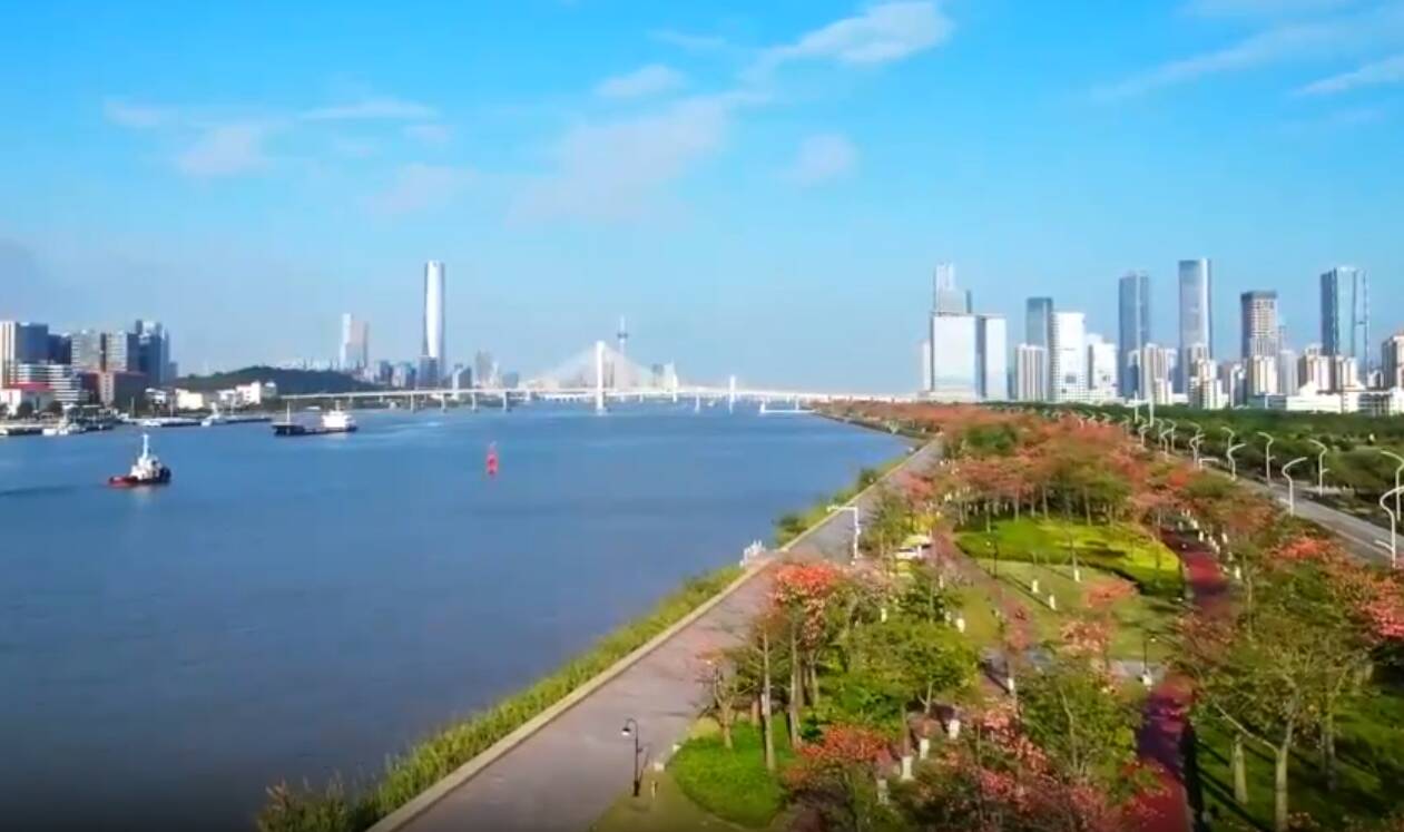 微视频丨中朝友谊 历久弥坚