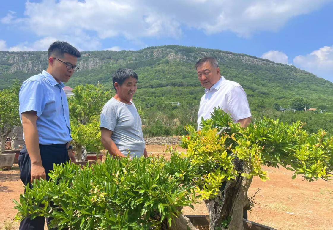 “政策+商业”双轮驱动 “前伸+后延”全程覆盖——中国人寿财险山东省枣庄市中心支公司构建保障体系，撑起特色农业“防护伞”
