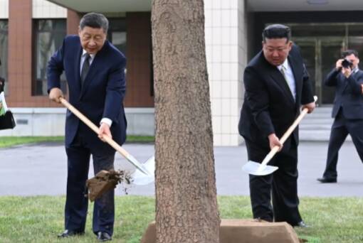 近镜头｜习近平和金正恩共植枞树