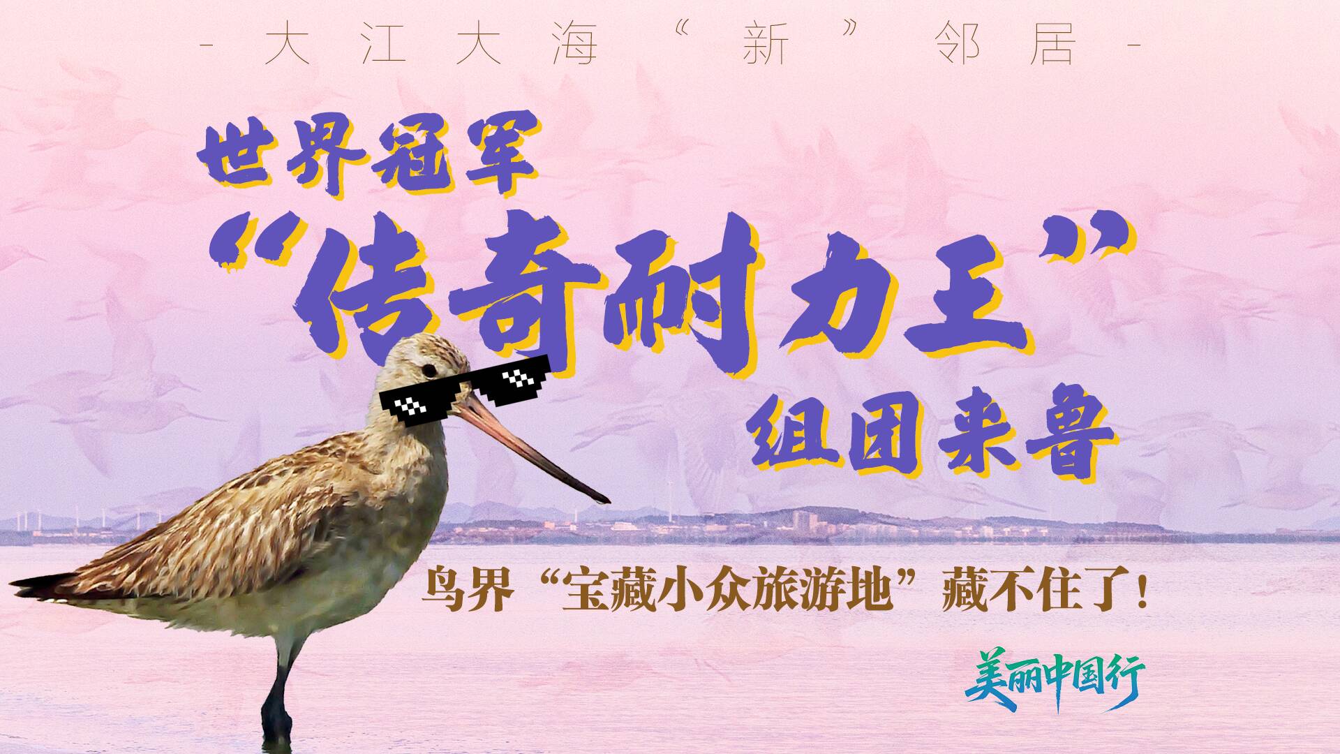 美丽中国行|大江大海“新”邻居:世界冠军“传奇耐力王”组团来鲁 鸟界“宝藏小众旅游地”藏不住了!