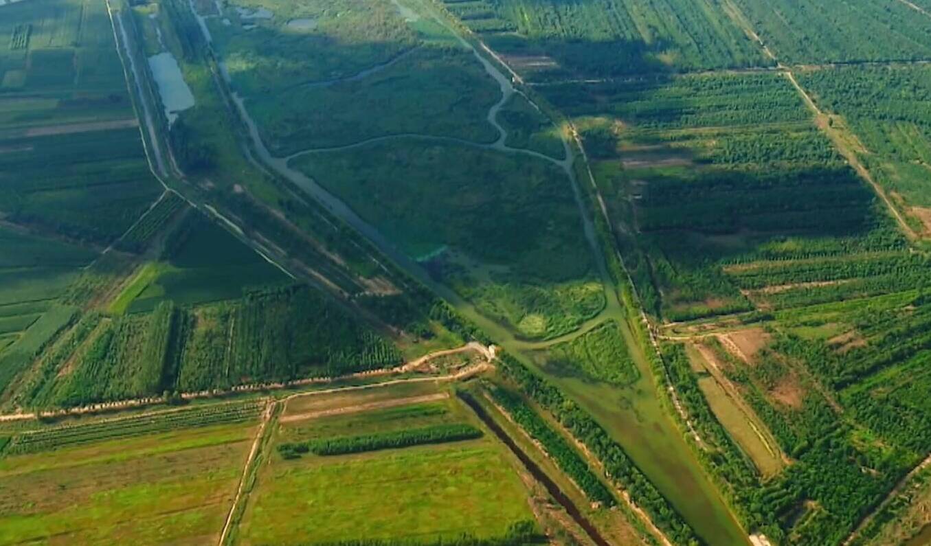 从一域实践迈向全国标杆 山东全力建设美丽中国省域先行区