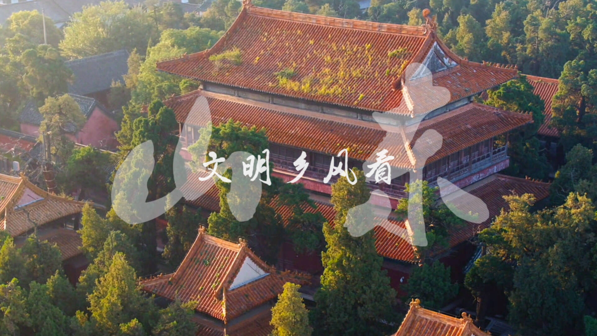 文明乡风看山东 样板就在家门口