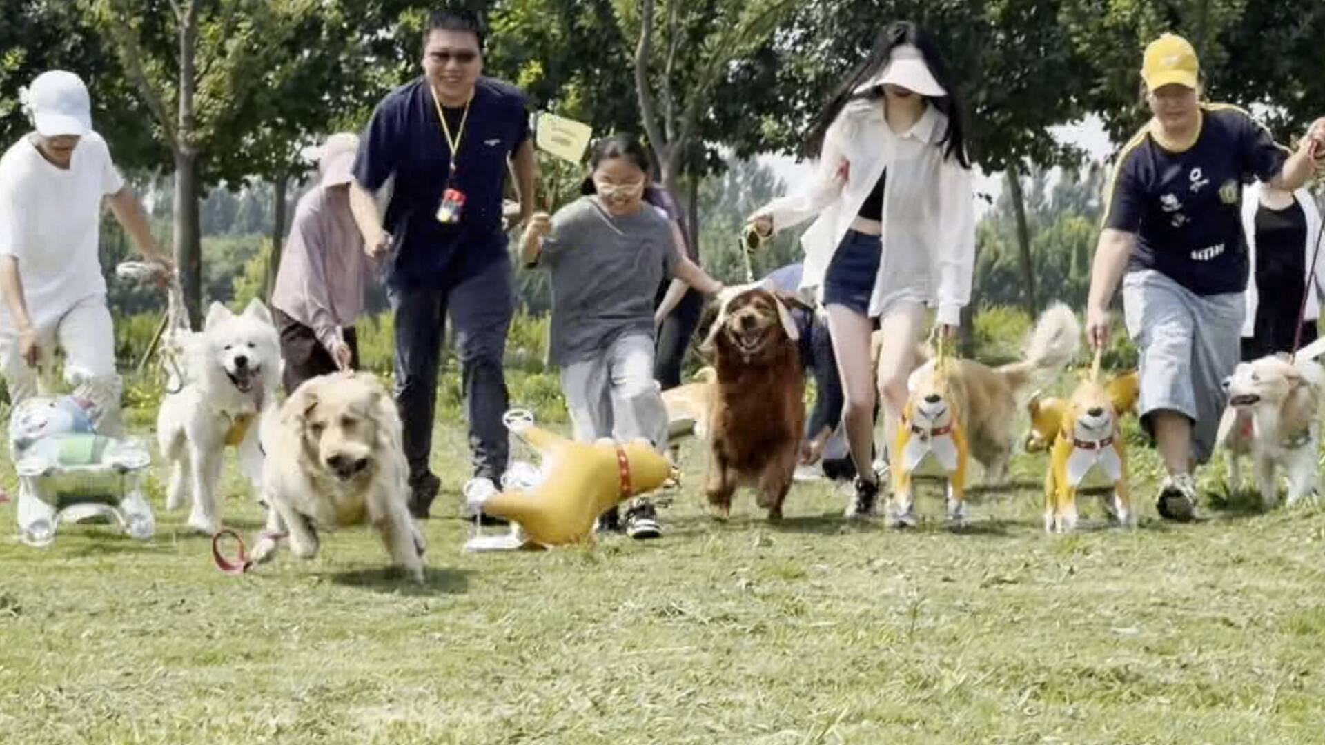 4:1战胜济宁港航队！2026齐鲁超赛聊城传奇队取得五连胜