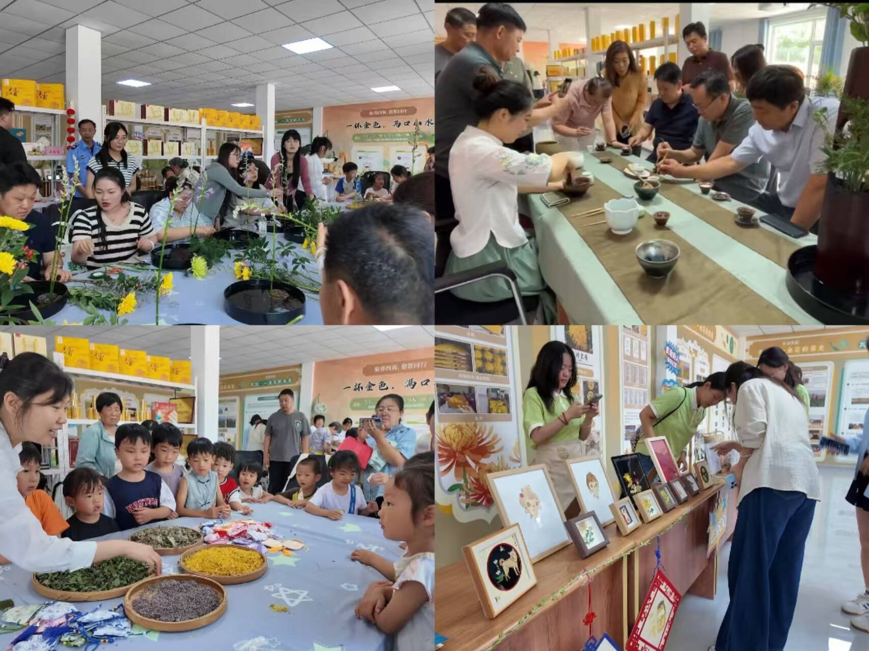 菊香聚乡邻 巧手传非遗