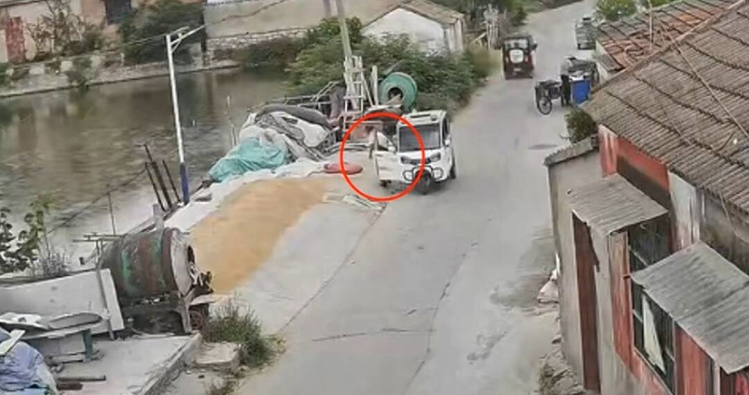 闪电评论｜两分钟善举护住千斤麦，乡村温情最动人心